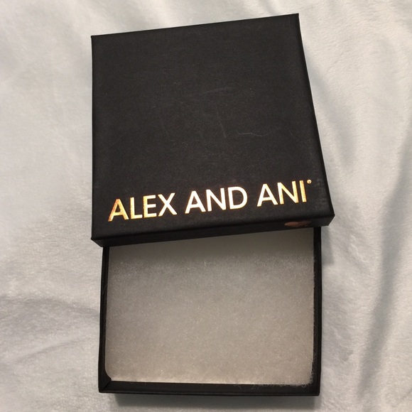 Alex and Ani box