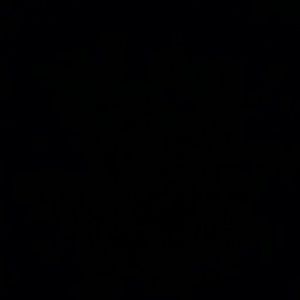 Meet your Posher, Bri