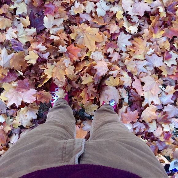 Meet your Posher, Michel. - Picture 5 of 5