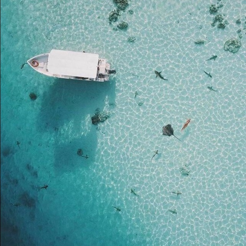 🌼SOLD PAST HERE 🌸