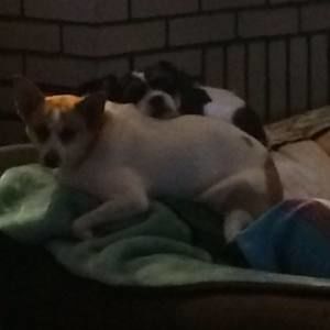 Meet your Posher, Becky