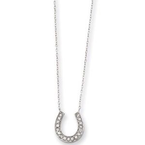 Gorgeous CZ horseshoe necklace
