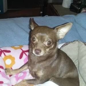 Meet your Posher, Joyce