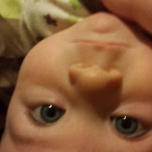 Meet your Posher, Casey