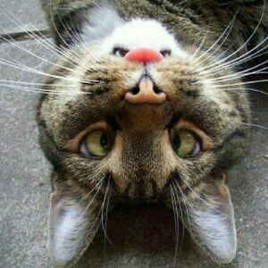 Meet your Posher, Carly