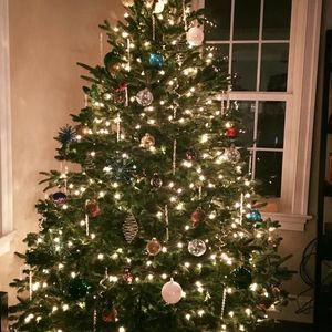 Meet your Posher, Claudia