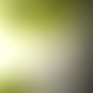 Meet your Posher, Annalise