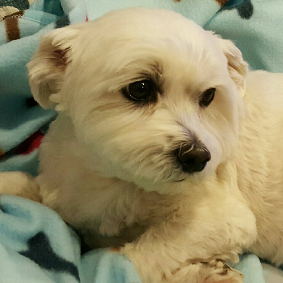 Meet your Posher, Dana - Picture 2 of 3