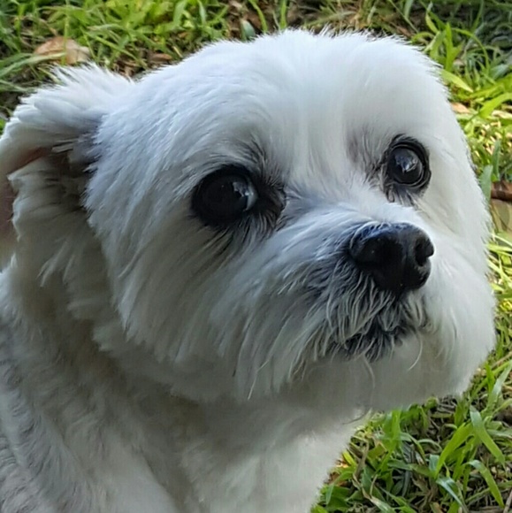 Meet your Posher, Dana - Picture 3 of 3