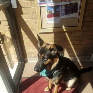 Meet your Posher, Idalia