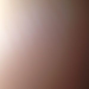 Meet your Posher, Archie