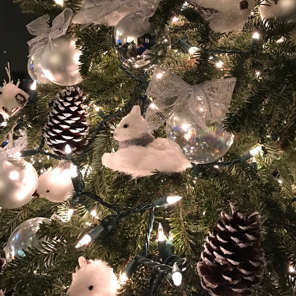 Meet your Posher, Priscila