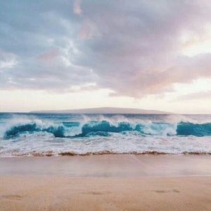 Meet your Posher, Cade