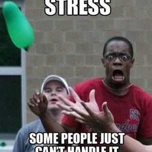 Meet your Posher, Logan