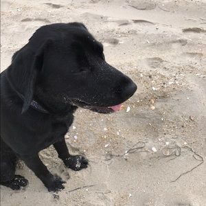 Meet your Posher, Heather