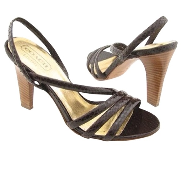 Coach "Beatriz" Brown Sandal
