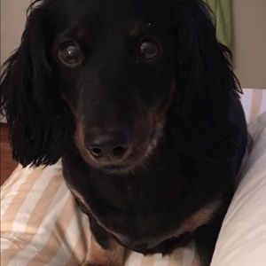 Meet your Posher, Beverly