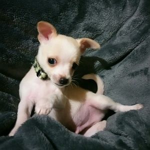 Meet your Posher, Aide