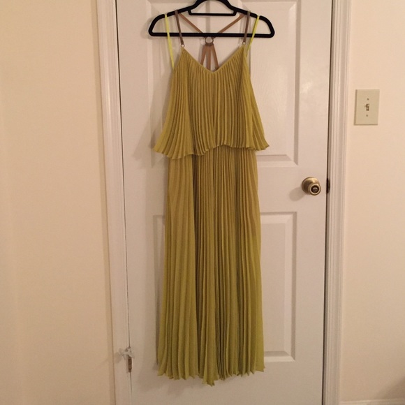 BCBG two-tiered pleated maxi dress