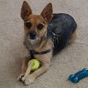 Meet your Posher, Wanda