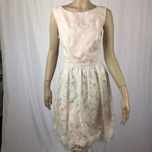 🎉sale🎉 Modcloth Pink and Floral White Lace Dress