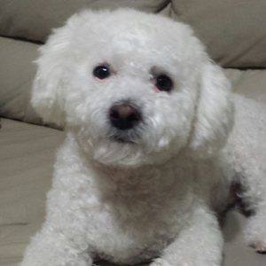 Meet your Posher, Jeffrey