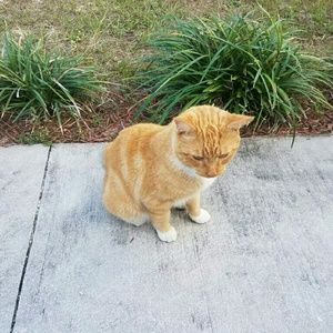 Meet your Posher, Tre