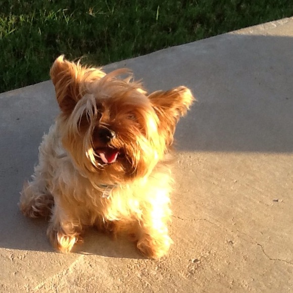 Meet your Posher, Margaret