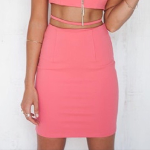 Sabo Skirt Dresses & Skirts - Pink high waisted midi skirt