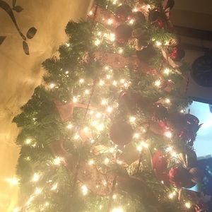 Meet your Posher, Eliane