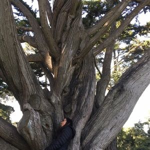 Meet your Posher, Pearl