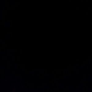 Meet your Posher, Lynette