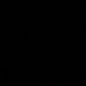 Meet your Posher, Marvon