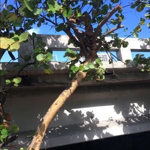 Meet your Posher, Sophia