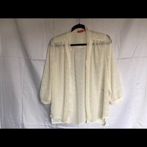 Sheer Blouse with gold dots