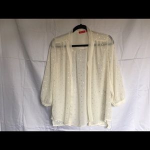 Sheer Blouse with gold dots
