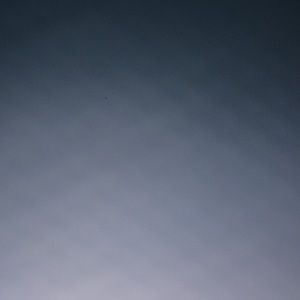 Meet your Posher, Maddie