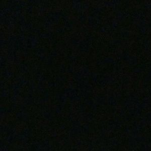 Meet your Posher, Shenika