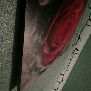 Meet your Posher, Jess