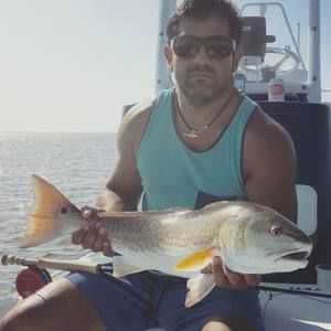 Meet your Posher, Samuel