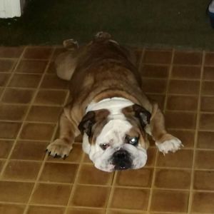 Meet your Posher, Stephen