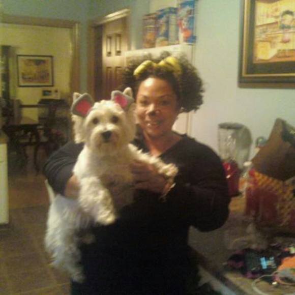 Meet your Posher, Emery - Picture 1 of 1