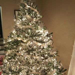 Meet your Posher, Rosa