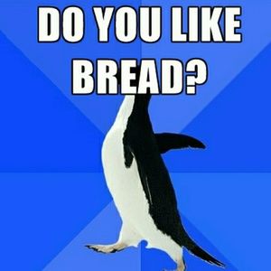 Meet your Posher, Brenna