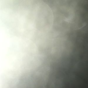 Meet your Posher, Frank