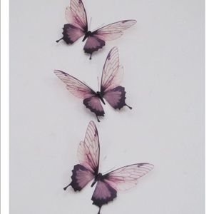 Meet your Posher, Isai