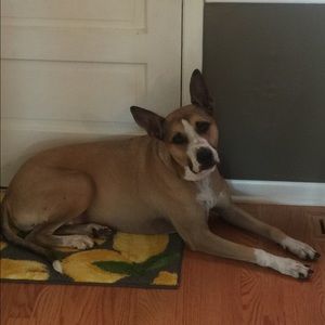 Meet your Posher, Cory