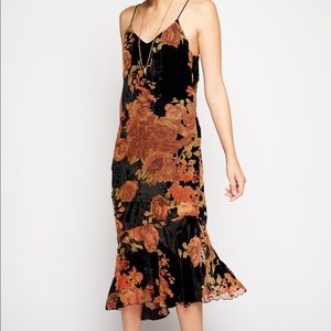 Line and Dot Velvet Floral Midi Dress