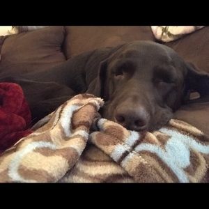 Meet your Posher, Karissa