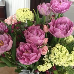 Meet your Posher, Lena